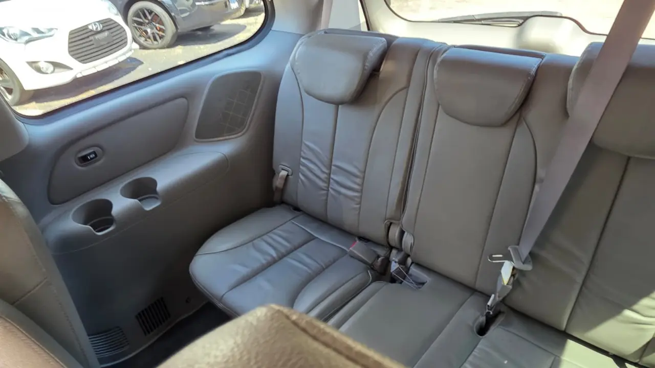 2014 Kia Sedona 19