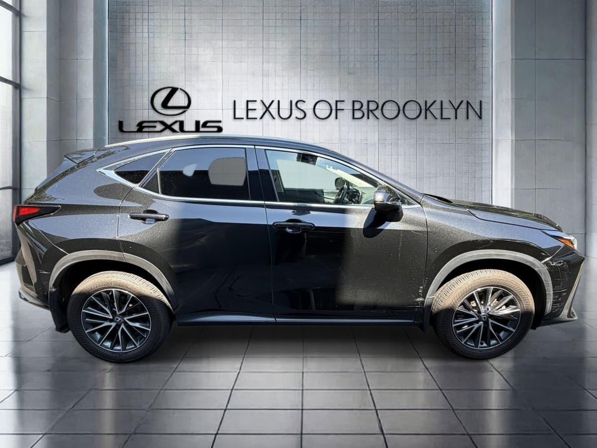 2024 Lexus NX 19