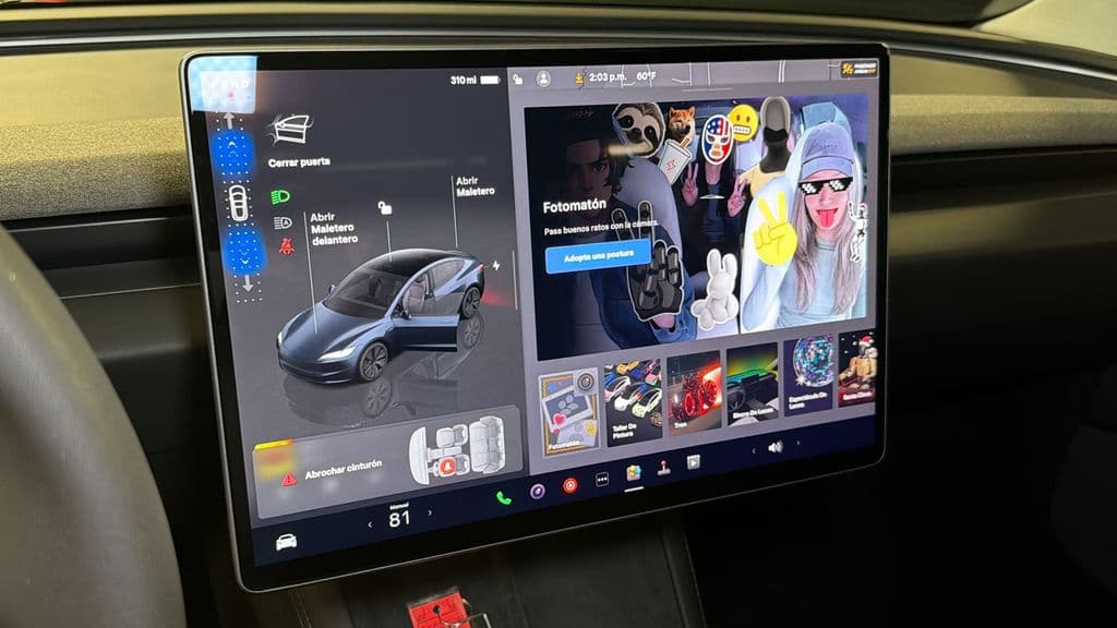 2025 Tesla Model 3 32